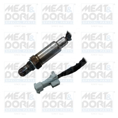 Oxygen Sensor